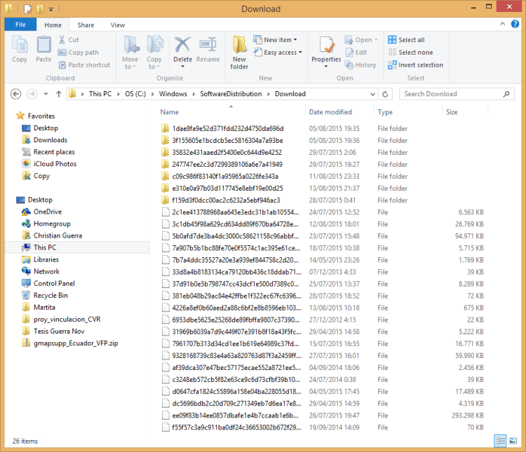 Borrar los archivos de esta carpeta